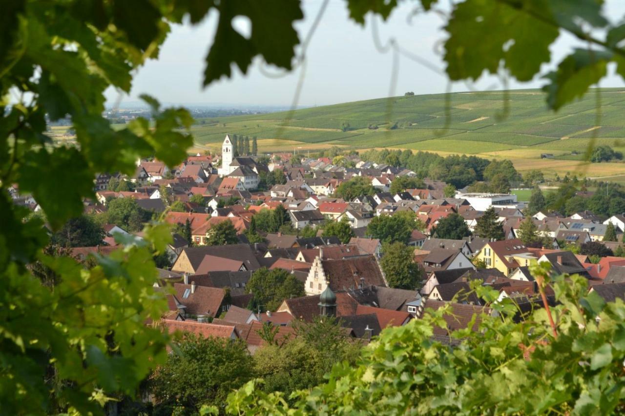 Ferienwohnung Schneckental Pfaffenweiler Extérieur photo
